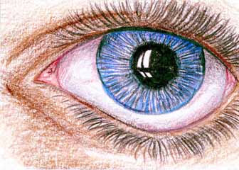 "Eye Am Big" by Amy Kleinhans, Palmyra WI - Colored pencil